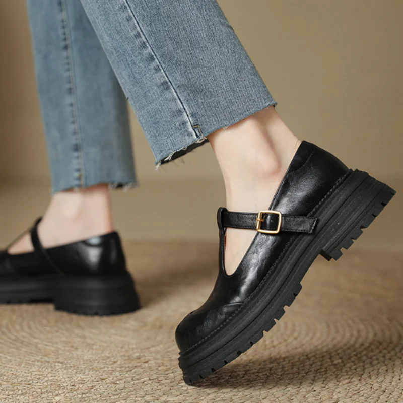 Women's Retro T-Strap Platform Mary Jane – Closed Toe Chunky Heel Buckle Shoes