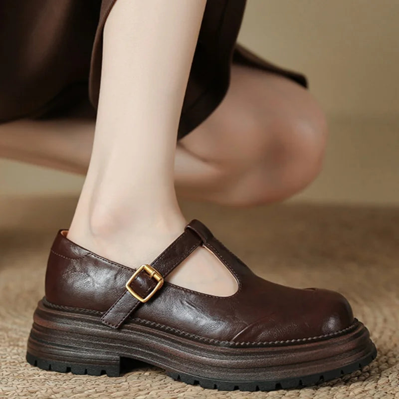 Women's Retro T-Strap Platform Mary Jane – Closed Toe Chunky Heel Buckle Shoes