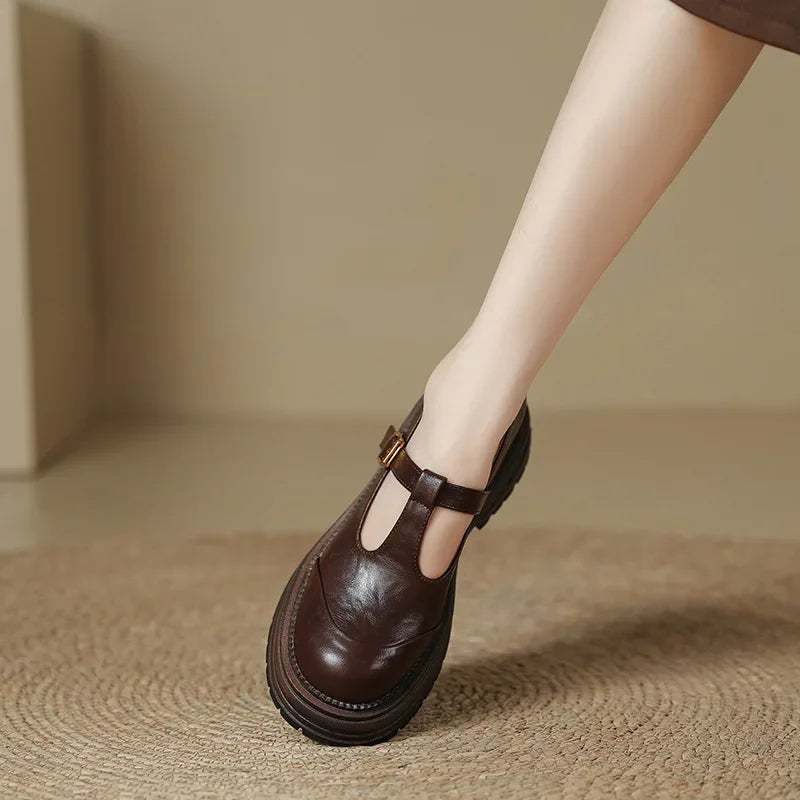 Women's Retro T-Strap Platform Mary Jane – Closed Toe Chunky Heel Buckle Shoes